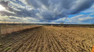 Pozemek - vinice Mutěnice, okres Hodonín