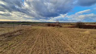 Pozemek - vinice Mutěnice, okres Hodonín