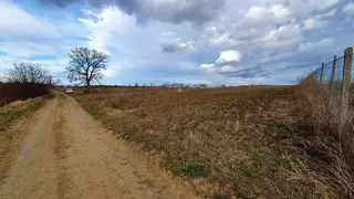 Pozemek - vinice Mutěnice, okres Hodonín