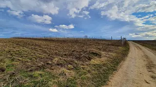 Pozemek - vinice Mutěnice, okres Hodonín