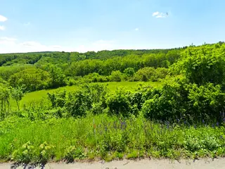 Pozemek orná půda Diváky, okres Břeclav