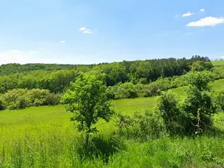 Pozemek orná půda Diváky, okres Břeclav