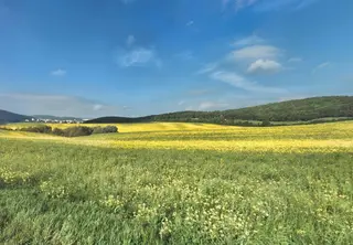 Pozemek orná půda p.č. 6094, Brno - Komín