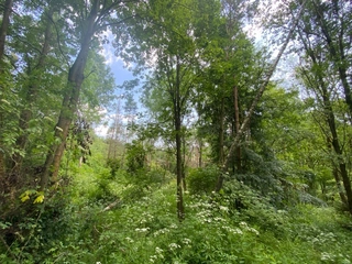 Pozemek p.č. 257/1 Pozďátky, obec Slavičky, okres Třebíč