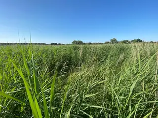 Pozemek p.č. 292 Labské Chrčice