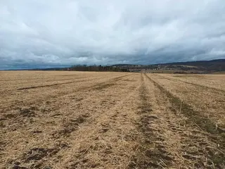 Kovalovice I - orná půda  4.136 m2  (horní pole)