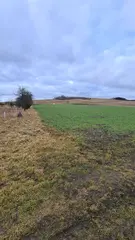Kovalovice II - orná půda 3.485 m2 (spodní pole)