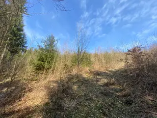 Pozemek p.č. 9461 Vsetín