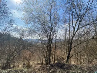 Pozemek p.č. 9461 Vsetín