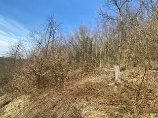 Pozemek p.č. 9461 Vsetín