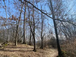 Pozemek p.č. 9461 Vsetín