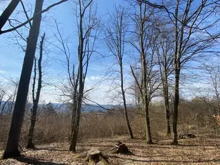 Pozemek p.č. 9461 Vsetín