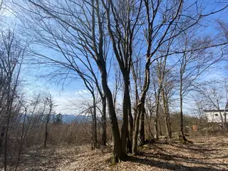 Pozemek p.č. 9461 Vsetín