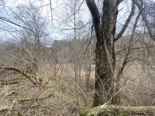 Pozemek Šebířov, okres Tábor