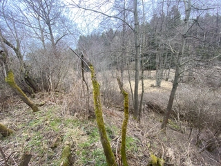 Pozemek Šebířov, okres Tábor