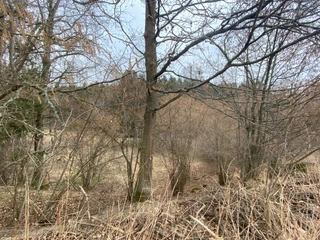 Pozemek Šebířov, okres Tábor