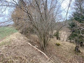 Pozemek Šebířov, okres Tábor