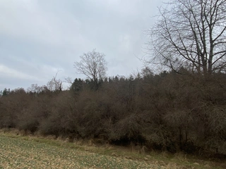 Pozemek Šebířov, okres Tábor