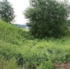 Pozemek Vojnův Městec, okres Žďár nad Sázavou