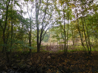 Pozemek 3000 m², v obci Chomutov