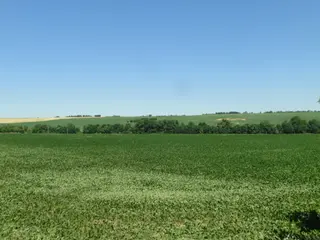 Pozemky E - 13 224 m2 Tučapy u Vyškova, okres Vyškov