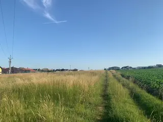 Zemědělská půda Rajhrad 16805m2