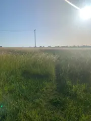 Zemědělská půda Rajhrad 16805m2