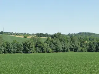 Pozemky D - 4 489 m2 Tučapy u Vyškova, okres Vyškov 