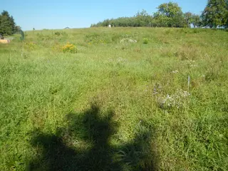 Pozemky 5 505 m2 Malé Výkleky, okres Pardubice