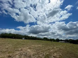Pozemky 5 505 m2 Malé Výkleky, okres Pardubice