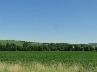 Pozemky B - 6 114 m2 Tučapy u Vyškova, okres Vyškov 
