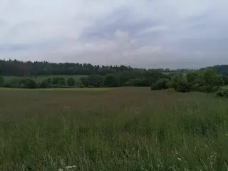 Pozemky 9.829 m2 Kúsky u Velkého Meziříčí (celek III)