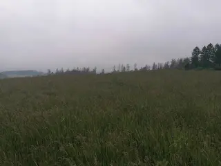Pozemky 9.829 m2 Kúsky u Velkého Meziříčí (celek III)