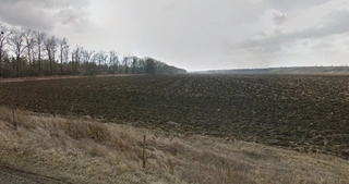 pozemky a vinice v k.ú. Moravská Nová Ves LV 470
