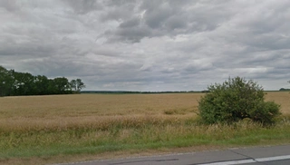 pozemky a vinice v k.ú. Moravská Nová Ves LV 470