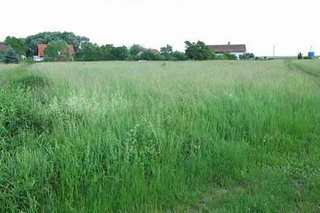 Pozemky Běstviny, Pulice a Pohoří u Dobrušky