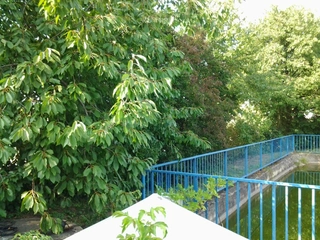 Pozemky Brno-Slatina