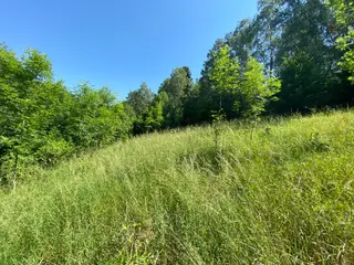 Pozemky Dolní Bohdíkov, okres Šumperk