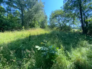 Pozemky Dolní Bohdíkov, okres Šumperk