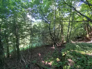 Pozemky Dolní Bohdíkov, okres Šumperk