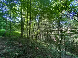Pozemky Dolní Bohdíkov, okres Šumperk
