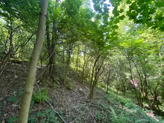Pozemky Dolní Bohdíkov, okres Šumperk