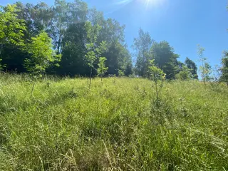 Pozemky Dolní Bohdíkov, okres Šumperk