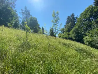 Pozemky Dolní Bohdíkov, okres Šumperk