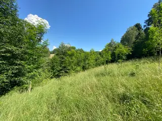 Pozemky Dolní Bohdíkov, okres Šumperk