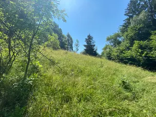 Pozemky Dolní Bohdíkov, okres Šumperk