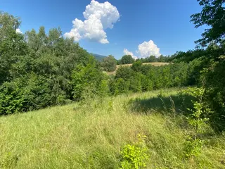 Pozemky Dolní Bohdíkov, okres Šumperk