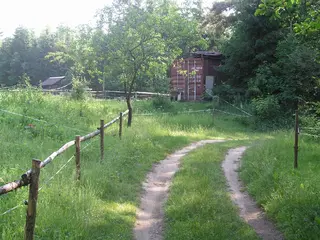Pozemky Horní Žďár u Jindřichova Hradce