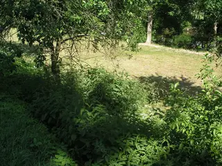 Pozemky Horní Žďár u Jindřichova Hradce