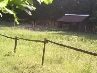 Pozemky Horní Žďár u Jindřichova Hradce